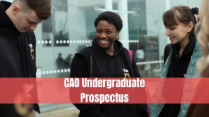 CAO Undergraduate Prospectus