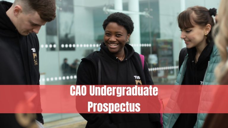CAO Undergraduate Prospectus