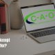 How Do I Accept a CAO Offer?